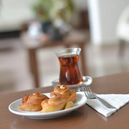 호텔 Yildirim 데니즐리